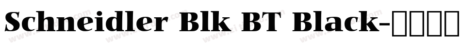 Schneidler Blk BT Black字体转换